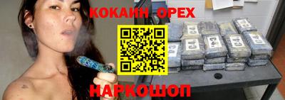 шишки Донской