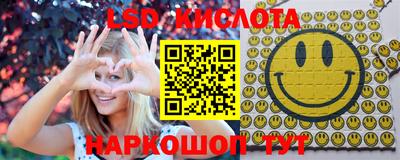 шишки Донской