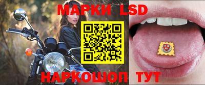 шишки Донской