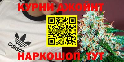 шишки Донской