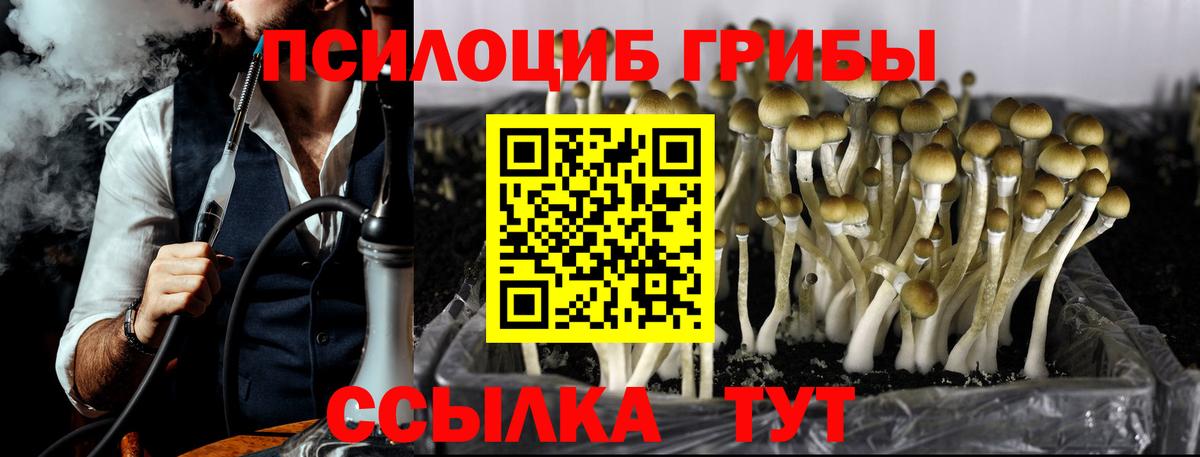 Людиново  Галлюциногенные грибы ЛСД  Псилоцибиновые грибы GOLDEN TEACHER  Вход с VPN 