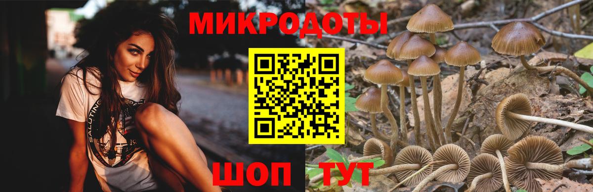 A PVP СОЛЬ   ГАШ  Конопля  Кокаин  Людиново  Меф   Вход с VPN 
